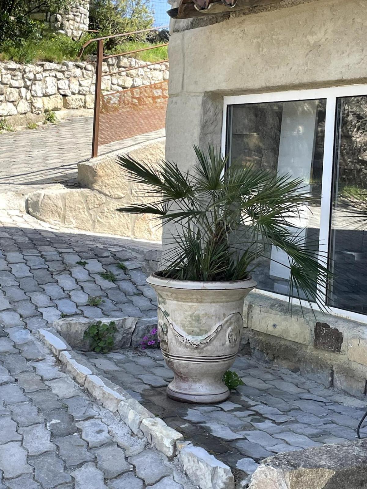 Montmirat Le Castellas - Gite En Pleine Nature מראה חיצוני תמונה
