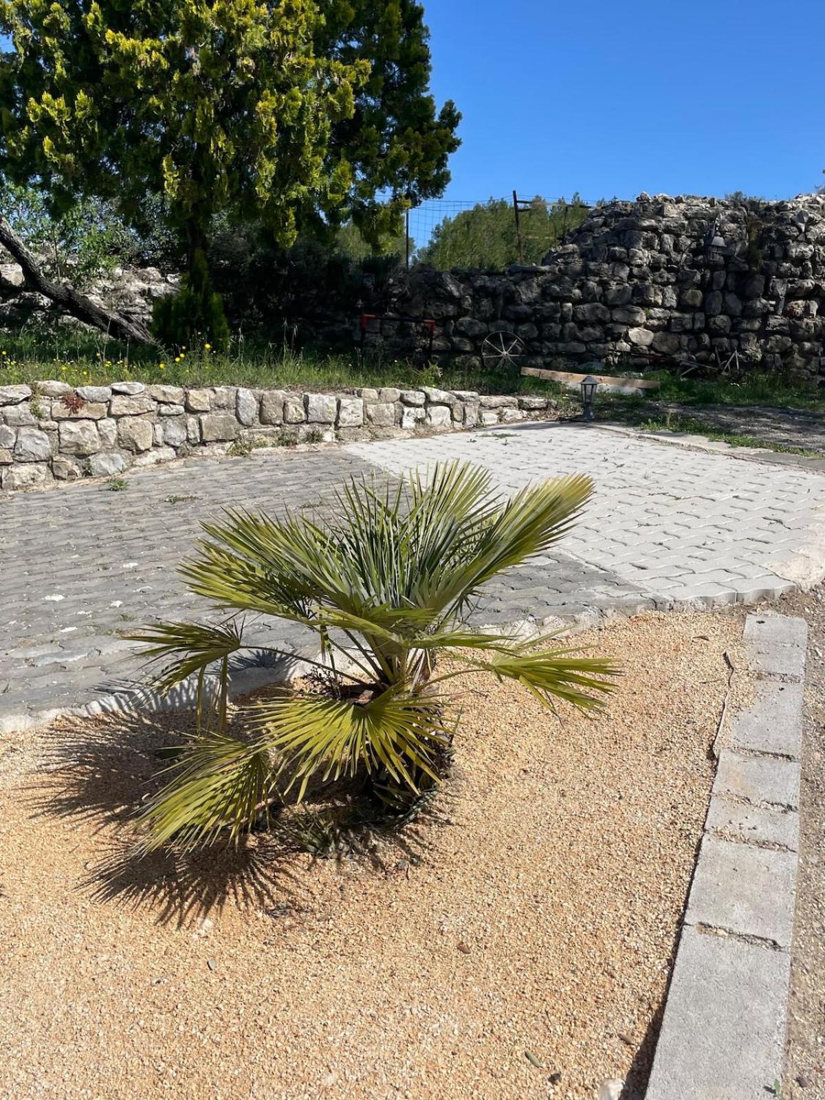 Montmirat Le Castellas - Gite En Pleine Nature מראה חיצוני תמונה