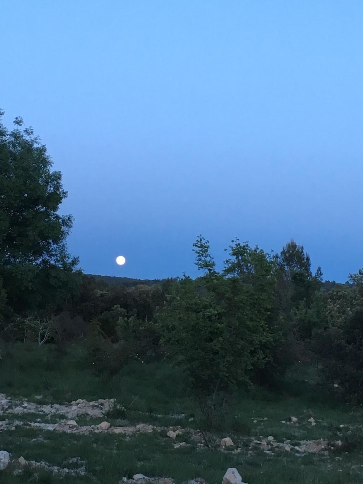 Montmirat Le Castellas - Gite En Pleine Nature מראה חיצוני תמונה